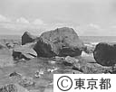 八丈島を訪ねて