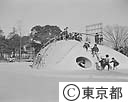 区立落合公園と子供
