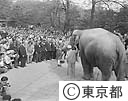インド・ネール首相　上野動物園へ