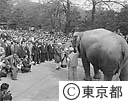 インド・ネール首相　上野動物園へ