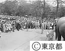 インド・ネール首相　上野動物園へ
