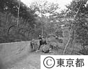 多摩動物園