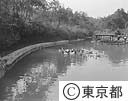 多摩動物園