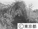 百花園