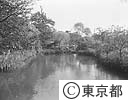 百花園