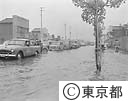 水害状況