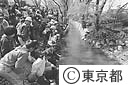 千川上水にも下水処理水を活用して清流を復活、子供たちのささ船