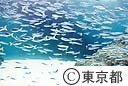 葛西臨海水族園