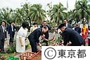 友好都市植樹式