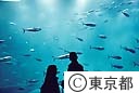 葛西臨海水族園
