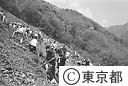 山の植樹祭