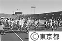 都民健康マラソン大会