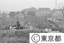 遺跡庭園「縄文の村」