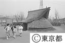 遺跡庭園「縄文の村」