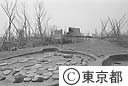 遺跡庭園「縄文の村」