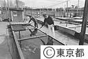 水産試験場