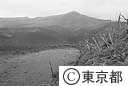 新澪池