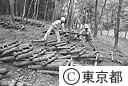 シイタケのホダ木を積む作業