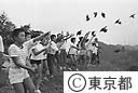 東京都林業試験場でふ化したコジュケイの放鳥