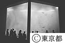 葛西臨海水族園