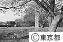 武蔵国分寺跡