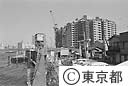 佃島