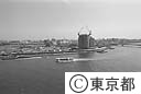 佃島を対岸より撮影