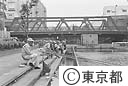 下が釣り堀になっている平川橋