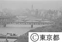 隅田川にかかる橋（台東体育館より）
