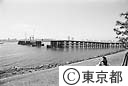 お台場より工事中の東京港連絡橋を望む