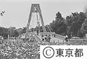 花菖蒲と水元大橋