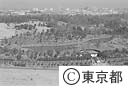 光が丘野鳥公園