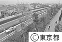 遊歩道と自動車専用道路が区分された放射３６号線
