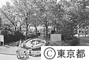 花時計