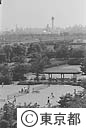 有明テニスの森公園