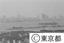お台場地区を船の科学館より見る