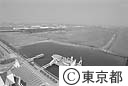 １３号地を船の科学館より見る