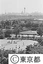 有明テニスの森公園