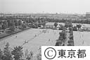 有明テニスの森公園