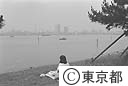 お台場公園
