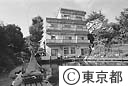 町の中の釣り堀