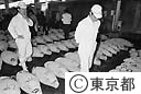 中央市場のマグロの立入り検査