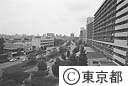 堤通り（白ひげ）