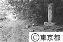 絹の道