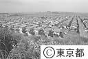 密集住宅地