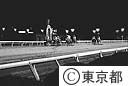 ナイター競馬（大井）