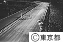 ナイター競馬（大井）