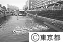 木場の角乗り
