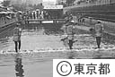 木場の角乗り