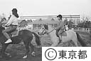 ポニースクール